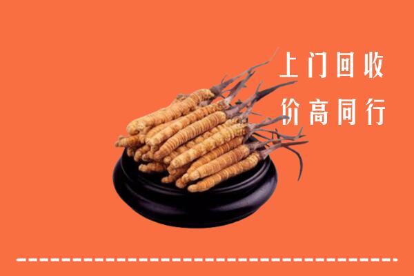 临泉县回收散虫草