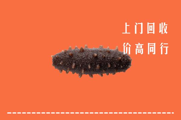 临泉县高价回收海参