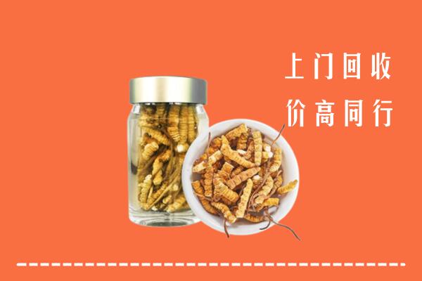 临泉县回收冬虫夏草