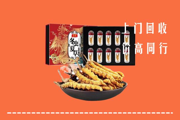 高价求购：临泉县回收虫草
